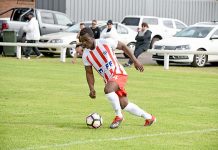 Apollo loses premiership points after fielding ineligible player in season opener Patrick Wilondja Dsc 1474 TBW Newsgroup