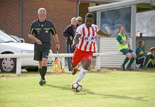 Apollo player dealt eight-match suspension Patrick Wilondja Dsc 1775 TBW Newsgroup