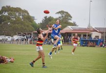 Penola continues dominant run with victory over Keith Simon Berkefelddsc 2438 TBW Newsgroup