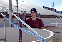 Vintage in full swing Toren Harrison TBW Newsgroup