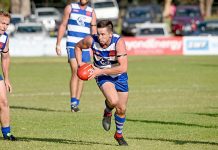 Cats well matched for Roos clash Tom Sullivan Crop TBW Newsgroup