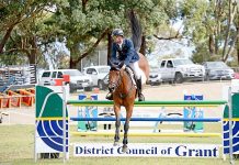 Easter showjumping competition won and lost on final hurdle Tyrone Vdl James Harvey Dsc 0263 TBW Newsgroup