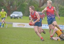 Wide-open race for player of the year honours A Lawry Bradley Brown Dsc 2428 TBW Newsgroup