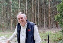 Motion gains traction Austim TBW Newsgroup