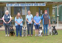 Easter trial excitement builds Dog Club TBW Newsgroup