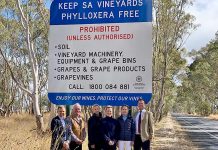 Zero-tolerance message enforced at SA-VIC border File 21web TBW Newsgroup