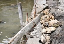 Riverside hazard under review Glenelg Walkway20190403 TBW Newsgroup