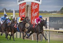 Early track assessment helps guide apprentice to Penola Cup victory Penola Cup Race TBW Newsgroup