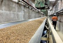 Developer invests $1m in wood pellet manufacturing feasibility study Wood Pellets TBW Newsgroup
