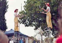 Arts festival excitement builds 2016 Penola Coonawarra Arts Festival 940x520 Pants Down (1)web TBW Newsgroup
