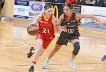Pioneers hunt down Bearcats in armwrestle at the Icehouse Amanda Frost Crop Dsc 268420190525 TBW Newsgroup