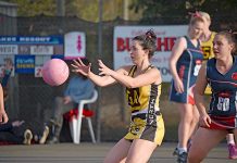 Tigers likley to scratch out points over winless Cats Ash Kalantarian Dsc 0038 TBW Newsgroup