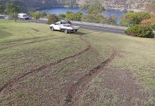 Hoons force City Council to install pine bollards Blue Lake Burnouts TBW Newsgroup