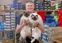 Iconic cats share top Ragdoll honour Bruce And Wally With Paull TBW Newsgroup