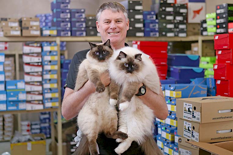 Iconic cats share top Ragdoll honour