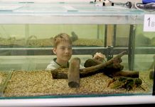 High School students at forefront of understanding endangered species Cameron Pullen Year 8 Grant High TBW Newsgroup