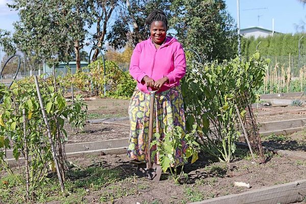 Community Garden Georgette Niyokuru  TBW Newsgroup