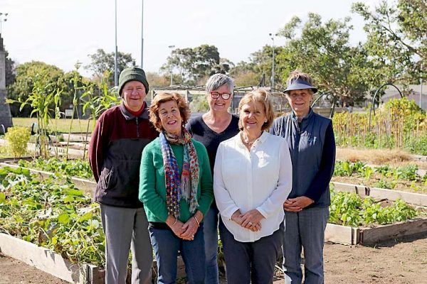 Community Garden Group Shot  TBW Newsgroup