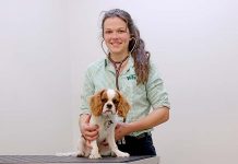 Veterinarians use global day to raise awareness for pet vaccinations Courtney Swanson With Rory (2) TBW Newsgroup