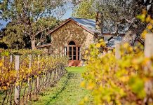 Diversity in focus Coonawarra Vineyards Jack Francis 2018 Small TBW Newsgroup