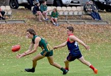 Mozzies bite back in round four Cory Gamble Kyall Mclean TBW Newsgroup