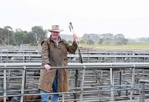 Record Glenburnie sale price reached Dale Keatley (3)20190507 TBW Newsgroup