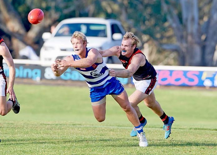 Hamish Jarrad  TBW Newsgroup