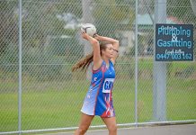Cats up against red hot Saints line-up Marlee Gartlan Dsc 7092 TBW Newsgroup