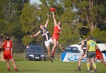 Demon makes daring debut Mitchell Reilly, Duncan Reid Dsc 9833 TBW Newsgroup