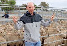 ‘Stop gap solution’ for phone coverage Paul Chiesa Phone Blackout TBW Newsgroup