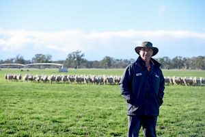 Peter Gericke (3)  TBW Newsgroup