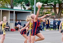 Bulldogs make break to win first game of 2019 season North V East Gambier Football & Netball TBW Newsgroup