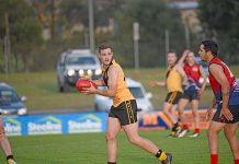 Tigers to tackle Victorian rivals in classic cat fight at Vansittart Park Tom Bruhn Dsc 0282 TBW Newsgroup