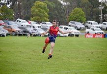 Roos host untamed Tigers in match of the round Tom Holmes Dsc 7917 TBW Newsgroup