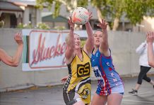 Tigers show claws in classic cat fight A Alisha Bryan, Meg Fennell Dsc 2189 TBW Newsgroup