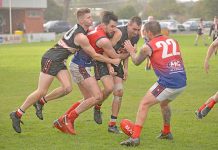 West hold on in an unexpected thriller against Millicent Contest Dsc 9719 TBW Newsgroup