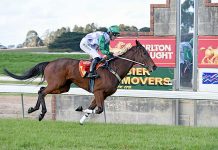 Field left wide open for $50,000 Mount Gambier Gold Cup Dormello Mo TBW Newsgroup