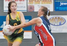 Mozzie makes milestone Laura Schultz TBW Newsgroup