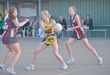North Gambier looks to improve on round one margin against reigning premier Mel Renko Dsc 4681 TBW Newsgroup