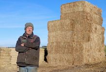 High feed costs soak up dairy profits Barry Bruce TBW Newsgroup