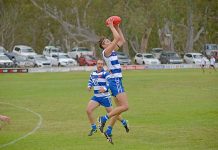 Cats claw back to beat Demons at Island Park Ben Guthrie Dsc 6873 TBW Newsgroup