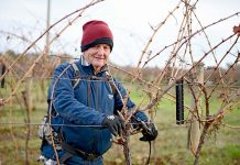 Winter temperatures plummet to near record lows Doug Balnaves TBW Newsgroup