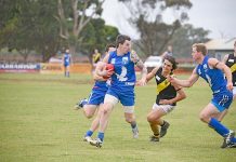 Eagles swoop on wounded Kybyboilite outfit Daniel Hackwill Dsc 4599 TBW Newsgroup