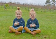 Ideas flow from dairy industry meeting Eadie, Lilah TBW Newsgroup