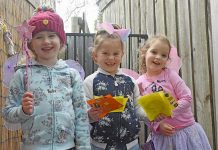 Magical garden wonderland Fairy Garden At Millicent North TBW Newsgroup