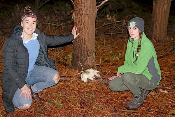 Ghost Mushrooms Molly And Kieran TBW Newsgroup