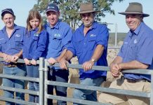 Industry in its prime Hayden Lambert, Rick Foster And Daughter Alison, David Galpin And Darren Maneyweb TBW Newsgroup