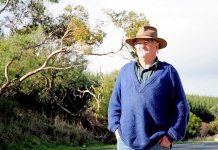 Overhanging tree branch triggers roadside hazard John Fartch TBW Newsgroup