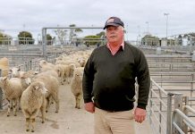 Border barrier removed for South Australian farmers sourcing stock Neville Bowd (3) TBW Newsgroup