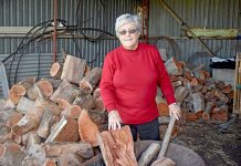 Appeal continues as fete cancelled Paulie Watts Landscape TBW Newsgroup